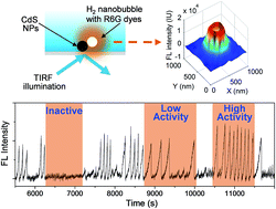 Graphical abstract: Monitoring the dynamic photocatalytic activity of single CdS nanoparticles by lighting up H2 nanobubbles with fluorescent dyes