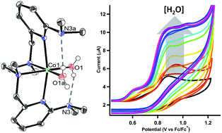 Graphical abstract: Intramolecular hydrogen-bonding in a cobalt aqua complex and electrochemical water oxidation activity