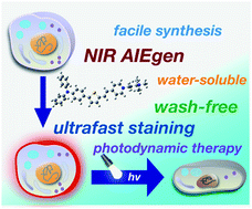 Graphical abstract: Rational design of a water-soluble NIR AIEgen, and its application in ultrafast wash-free cellular imaging and photodynamic cancer cell ablation