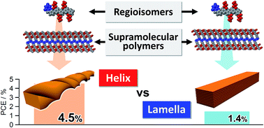Graphical abstract: Impact of helical organization on the photovoltaic properties of oligothiophene supramolecular polymers