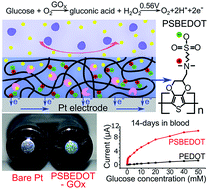 Graphical abstract: Highly sensitive and stable zwitterionic poly(sulfobetaine-3,4-ethylenedioxythiophene) (PSBEDOT) glucose biosensor