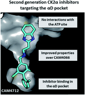 Graphical abstract: Second-generation CK2α inhibitors targeting the αD pocket