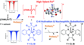 Graphical abstract: C–H activation and nucleophilic substitution in a photochemically generated high valent iron complex