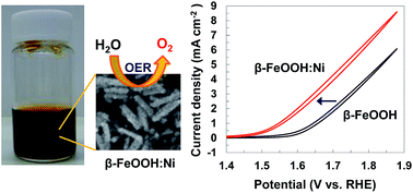 Graphical abstract: Highly crystalline β-FeOOH(Cl) nanorod catalysts doped with transition metals for efficient water oxidation