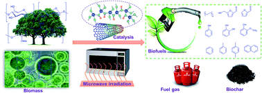 Graphical abstract: An overview of a novel concept in biomass pyrolysis: microwave irradiation