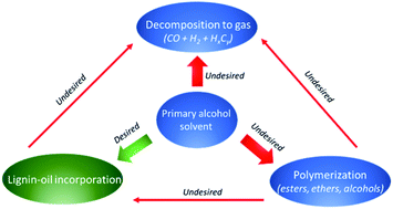 Graphical abstract: Solvent consumption in non-catalytic alcohol solvolysis of biorefinery lignin