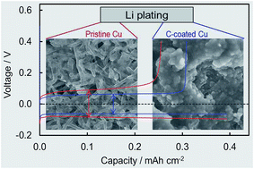 Graphical abstract: Efficient and stable cycling of lithium metal enabled by a conductive carbon primer layer