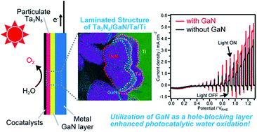 Graphical abstract: Activation of a particulate Ta3N5 water-oxidation photoanode with a GaN hole-blocking layer