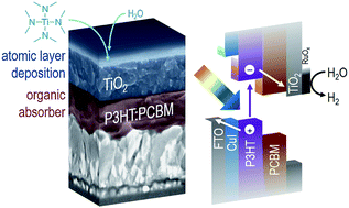 Graphical abstract: Stabilizing organic photocathodes by low-temperature atomic layer deposition of TiO2