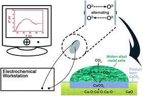 Graphical abstract: Revealing how molten salts promote CO2 capture on CaO via an impedance study and sorption kinetics simulation