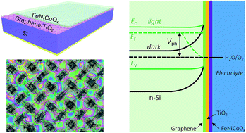 Graphical abstract: Efficient photoelectrochemical water oxidation enabled by an amorphous metal oxide-catalyzed graphene/silicon heterojunction photoanode