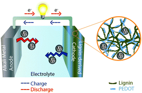 Graphical abstract: Hybrid biopolymer electrodes for lithium- and sodium-ion batteries in organic electrolytes