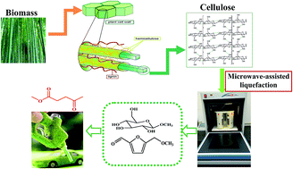 Graphical abstract: Selective catalytic conversion of waste lignocellulosic biomass for renewable value-added chemicals via directional microwave-assisted liquefaction