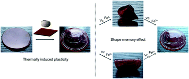 Graphical abstract: A mechanically robust hydrogel with thermally induced plasticity and a shape memory effect