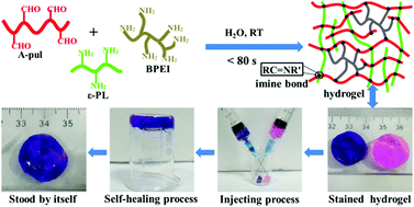 Graphical abstract: Multiresponsive and biocompatible self-healing hydrogel: its facile synthesis in water, characterization and properties
