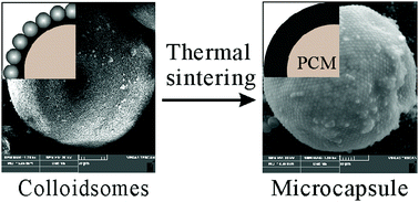 Graphical abstract: Microencapsulation through thermally sintering Pickering emulsion-based colloidosomes
