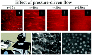 Graphical abstract: Flow-induced nanostructuring of gelled emulsions
