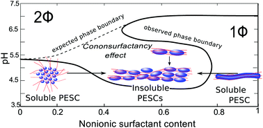 Graphical abstract: Precipitating polyelectrolyte–surfactant systems by admixing a nonionic surfactant – a case of cononsurfactancy