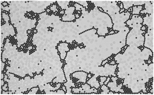 Graphical abstract: Coarsening dynamics of ferromagnetic granular networks—experimental results and simulations