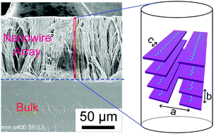Graphical abstract: Orientation and crystallization of regioregular poly(3-dodecylthiophene) in alumina nanopores
