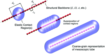 Graphical abstract: Mutable polyelectrolyte tube arrays: mesoscale modeling and lateral force microscopy