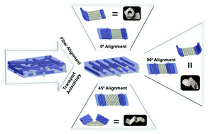 Graphical abstract: Programming shape and tailoring transport: advancing hygromorphic bilayers with aligned nanofibers