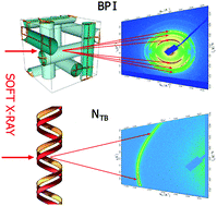 Graphical abstract: Structure of nanoscale-pitch helical phases: blue phase and twist-bend nematic phase resolved by resonant soft X-ray scattering