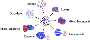 Graphical abstract: Assembly of multi-flavored two-dimensional colloidal crystals
