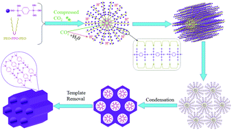 Graphical abstract: Investigation on the function of nonionic surfactants during compressed CO2-mediated periodic mesoporous organosilica formation