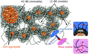 Graphical abstract: Quasielastic neutron scattering study of microscopic dynamics in polybutadiene reinforced with an unsaturated carboxylate