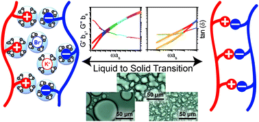 Graphical abstract: Rheological characterization of liquid-to-solid transitions in bulk polyelectrolyte complexes