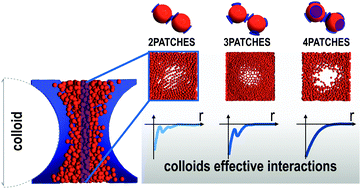 Graphical abstract: Effective potentials induced by self-assembly of patchy particles