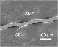Graphical abstract: Temperature dependent evolution of wrinkled single-crystal silicon ribbons on shape memory polymers