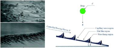 Graphical abstract: Droplet impact on flowing liquid films with inlet forcing: the splashing regime