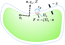Graphical abstract: The curved kinetic boundary layer of active matter