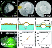 Graphical abstract: Ultra-long lifetime water bubbles stabilized by negative pressure generated between microparticles