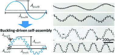 Graphical abstract: Buckling-driven self-assembly of self-similar inspired micro/nanofibers for ultra-stretchable electronics