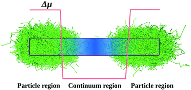 Graphical abstract: Hybrid particle-continuum simulations coupling Brownian dynamics and local dynamic density functional theory