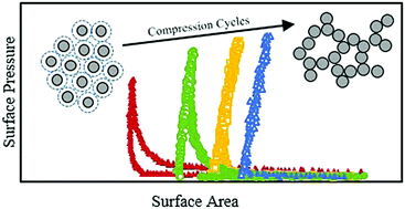Graphical abstract: Effect of surfactant tail length and ionic strength on the interfacial properties of nanoparticle–surfactant complexes