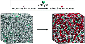 Graphical abstract: Structuring polymer gels via catalytic reactions