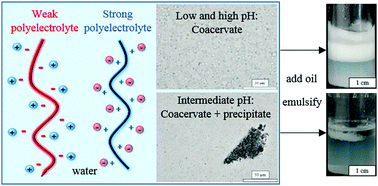 Graphical abstract: Emulsion stabilisation by complexes of oppositely charged synthetic polyelectrolytes