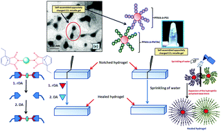 Graphical abstract: A new class of dual responsive self-healable hydrogels based on a core crosslinked ionic block copolymer micelle prepared via RAFT polymerization and Diels–Alder “click” chemistry