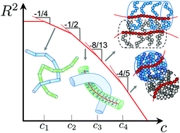 Graphical abstract: Hierarchical excluded volume screening in solutions of bottlebrush polymers