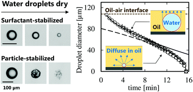 Graphical abstract: Drying kinetics of water droplets stabilized by surfactant molecules or solid particles in a thin non-volatile oil layer