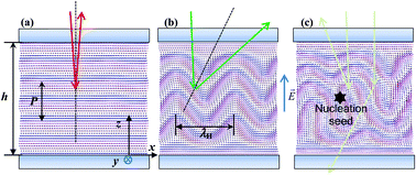 Graphical abstract: Stabilized electrically induced Helfrich deformation and enhanced color tuning in cholesteric liquid crystals