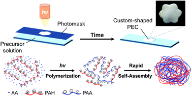 Graphical abstract: Customizing polyelectrolyte complex shapes through photolithographic directed assembly
