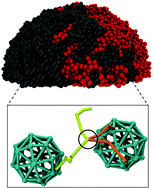 Graphical abstract: Modeling individual and pairs of adsorbed polymer-grafted nanoparticles: structure and entanglements