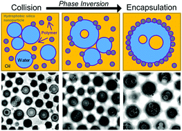 Graphical abstract: Controllable one-step double emulsion formation via phase inversion