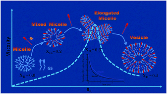 Graphical abstract: Ionic liquid mediated micelle to vesicle transition of a cationic gemini surfactant: a spectroscopic investigation