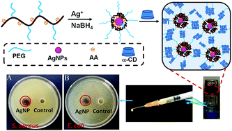 Graphical abstract: An injectable supramolecular hydrogel hybridized with silver nanoparticles for antibacterial application